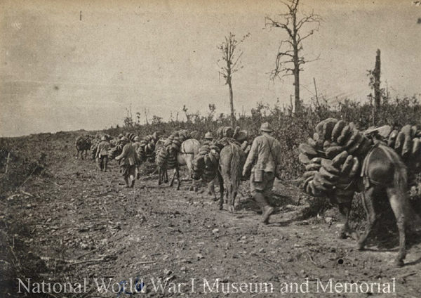 French soldiers lead horses loaded with bread Verdun wwimus