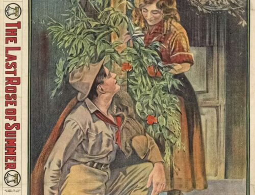 The Last Rose of Summer