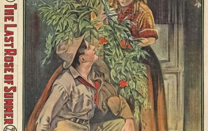 Song Lyrics Cover Art - Story of a Rose